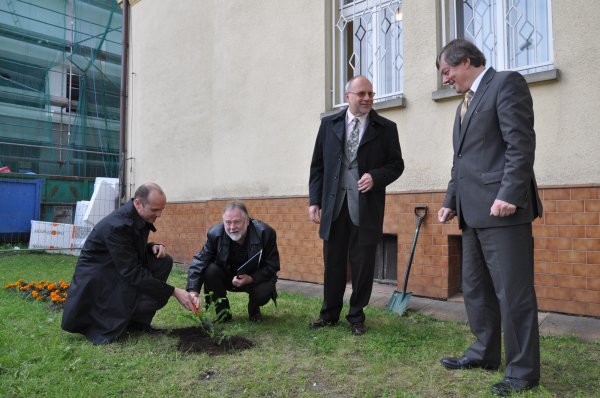 Posadziliśmy drzewko